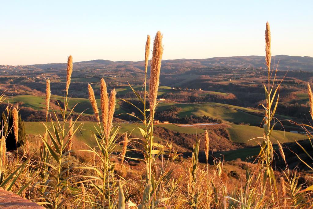 Agriturismo Le Docce Castelfiorentino Exterior photo